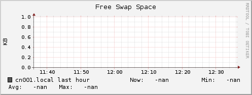 cn001.local swap_free