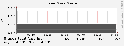 cn025.local swap_free