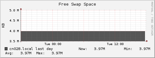 cn028.local swap_free