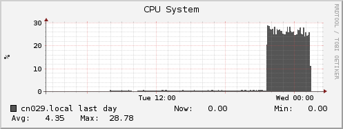 cn029.local cpu_system