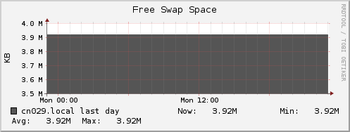 cn029.local swap_free